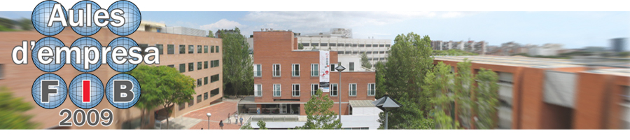 Aules d'empresa 2009